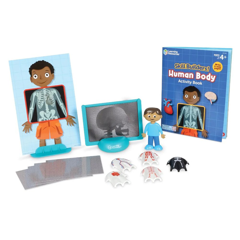 Product image: Skill builders human body, , medium-null