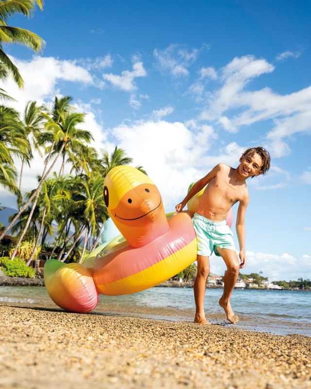 Ride on baby duck, , medium-null
