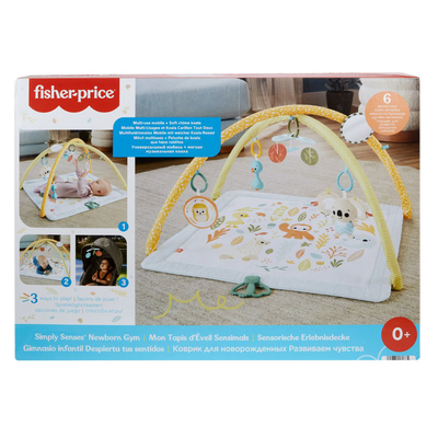 Fisher-price simply sences newborn gym hrb15, , medium