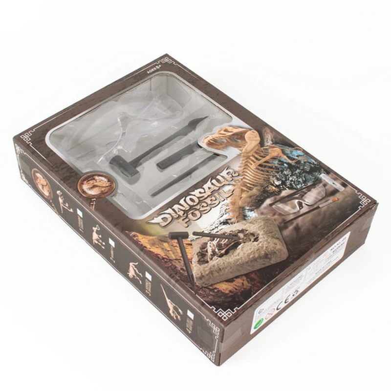 Dinosaur fossil excavation, , medium-null