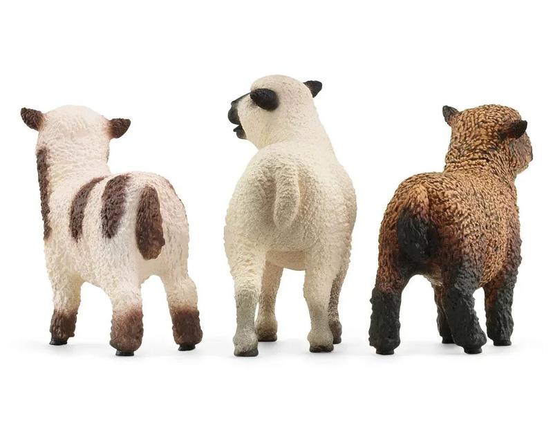 Product image: Schleich 42660 sheep friends figures-null