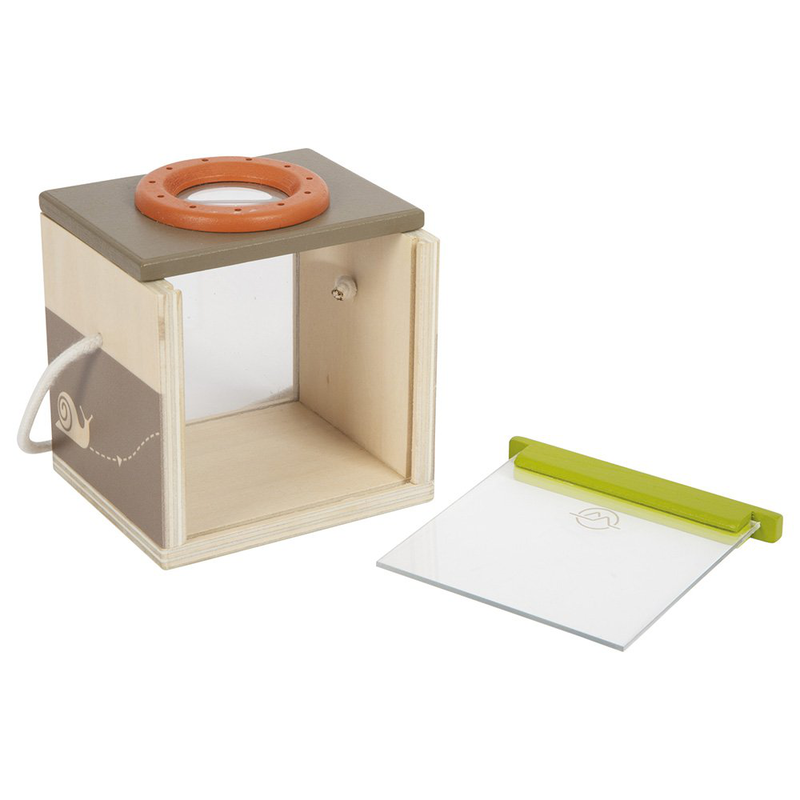 Insect box discover, , medium image number null