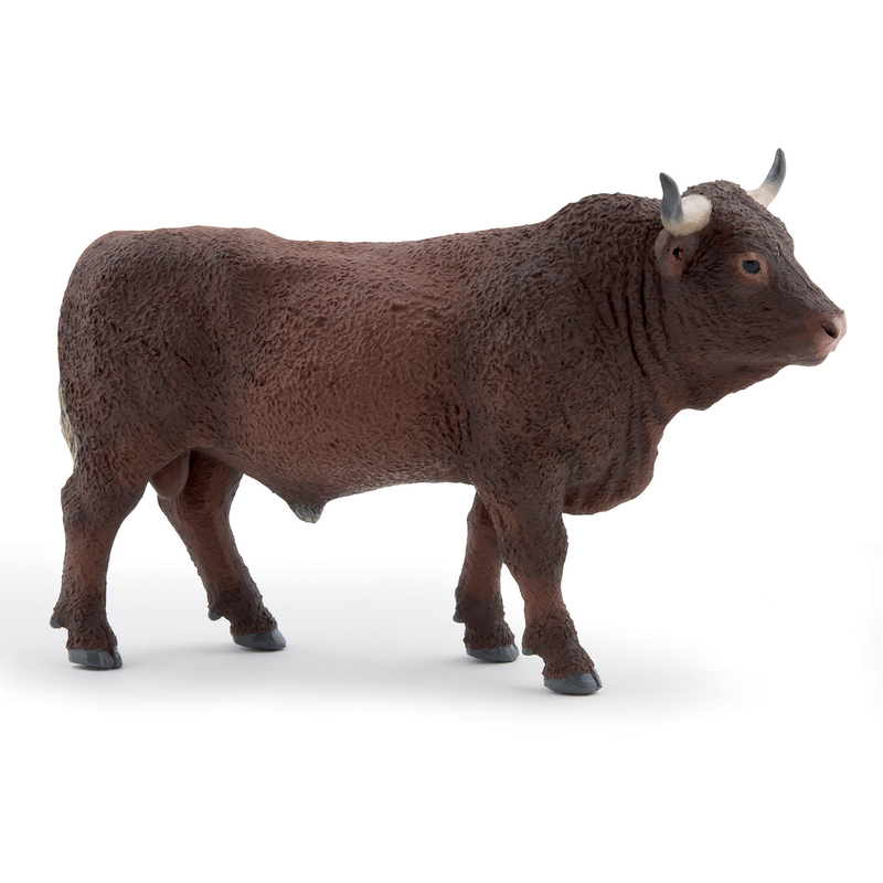 Farmyard bull-null