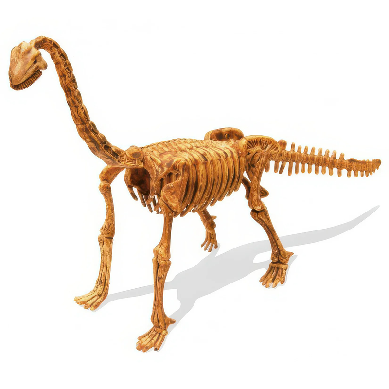 Buki france dino kit brachiosaurus dinosaur fossil digging set, , medium-null
