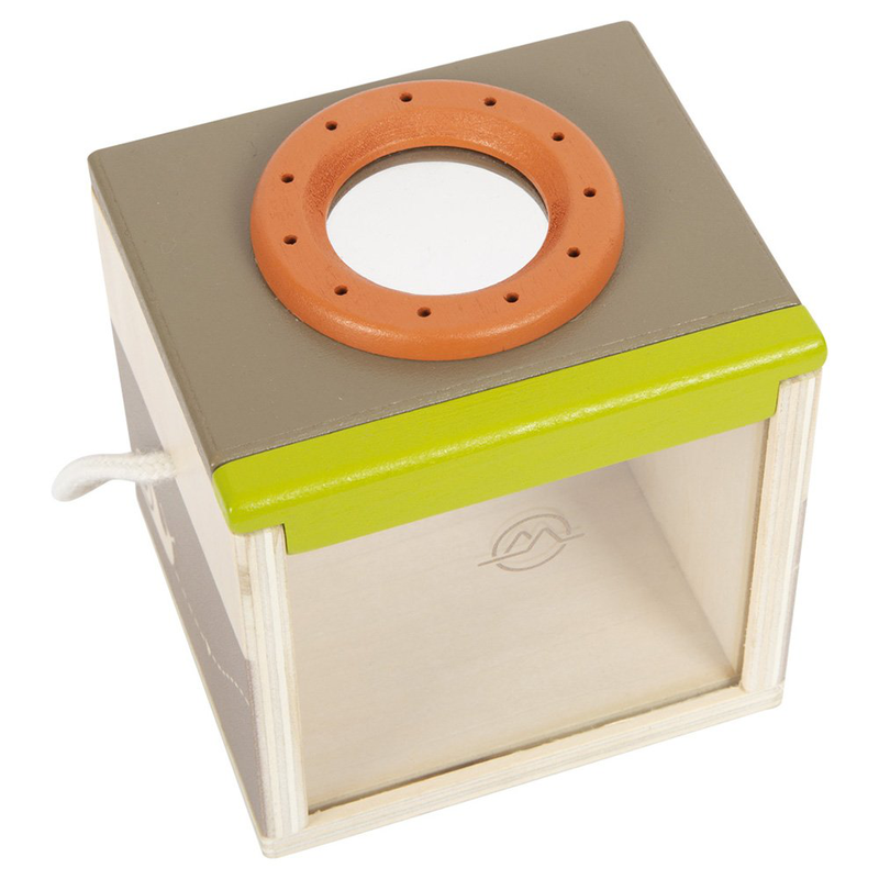 Insect box discover, , medium image number null