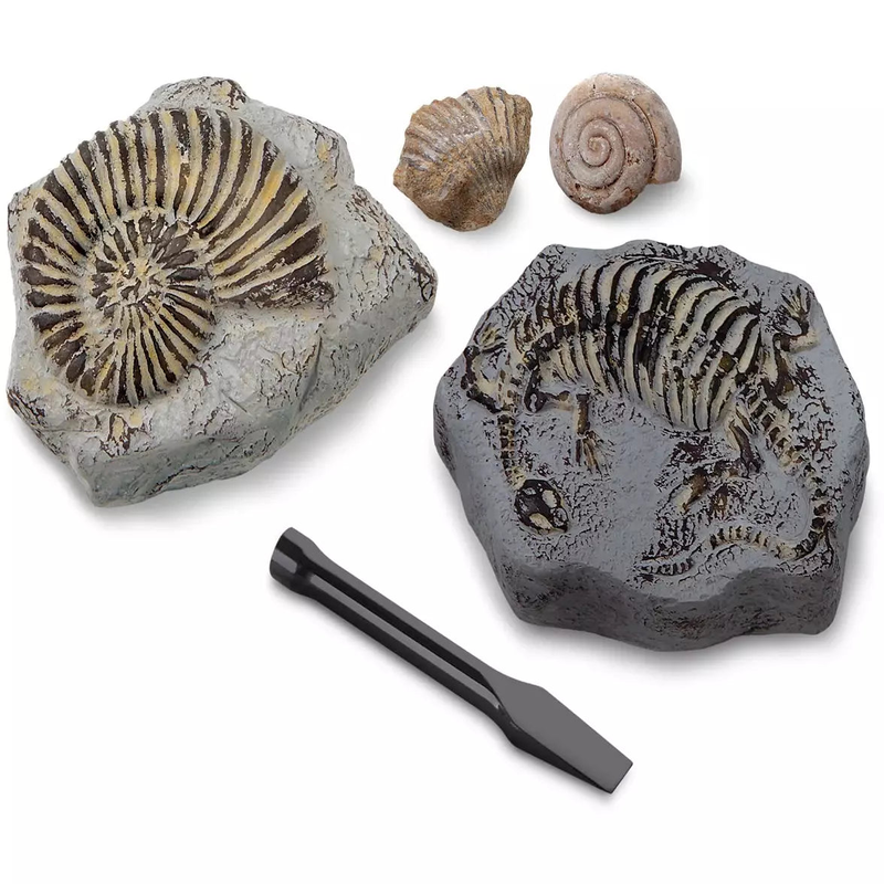 Discovery #mindblown toy excavation kit mini fossil, 2 pieces, , medium image number null
