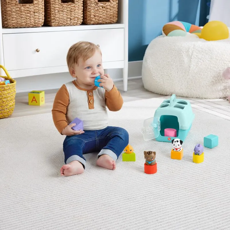 Fisher price pets sort & stow pet carrier 6m+, , medium-null