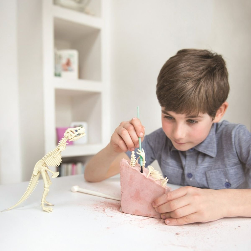 &Epsilon;&kappa;&pi;&alpha;&iota;&delta;&epsilon;&upsilon;&tau;&iota;&kappa;ό &sigma;&epsilon;&tau; &pi;&alpha;&lambda;&alpha;&iota;&omicron;&nu;&tau;&omicron;&lambda;&omicron;&gamma;ί&alpha;&sigmaf; &alpha;&nu;&alpha;&sigma;&kappa;&alpha;&phi;ή &sigma;&kappa;&epsilon;&lambda;&epsilon;&tau;&omicron;ύ &delta;&epsilon;&iota;&nu;&omicron;&sigma;&alpha;ύ&rho;&omicron;&upsilon; &mu;&alpha;&mu;&omicron;ύ&theta; 8+ &epsilon;&tau;ώ&nu;, , medium-null