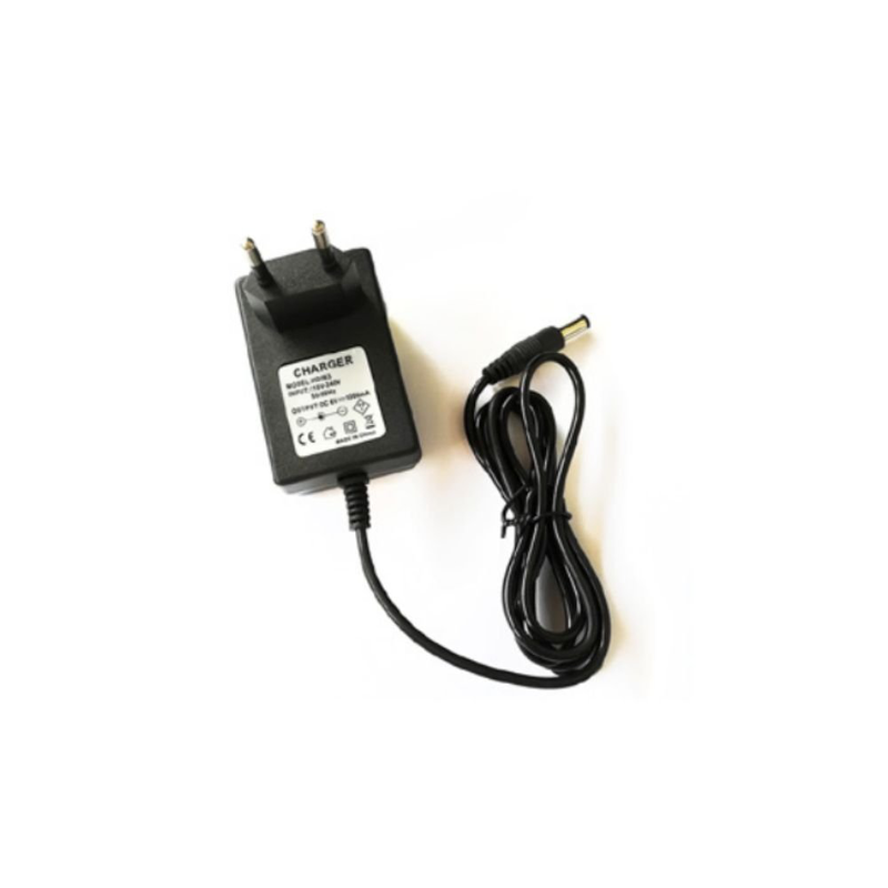 Product image: Φορτιστής επαναφορτιζόμενης μπαταρίας 6v, , medium-null