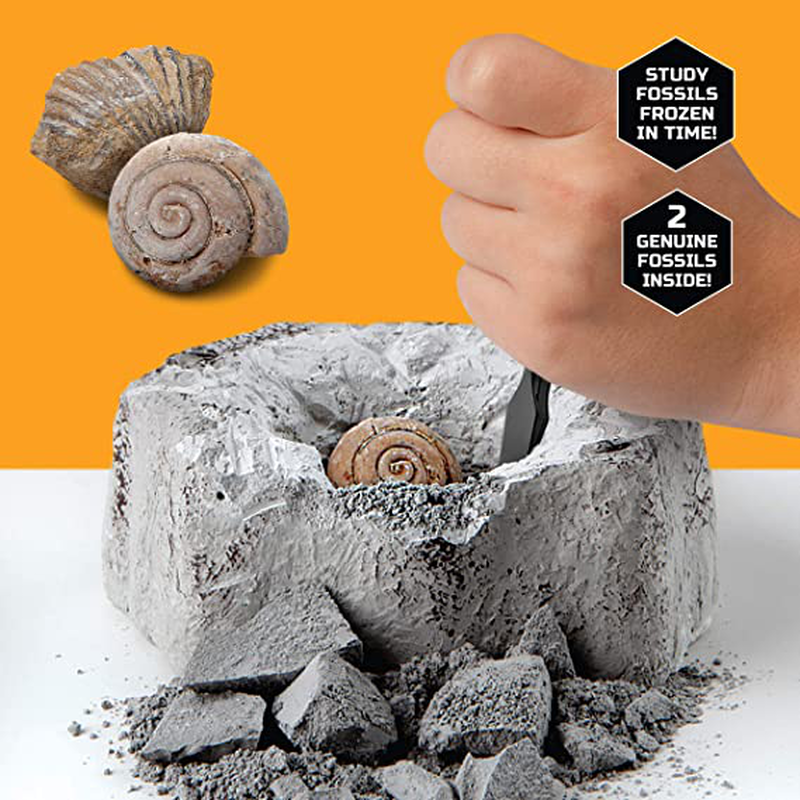 Discovery #mindblown toy excavation kit mini fossil, 2 pieces, , medium image number null