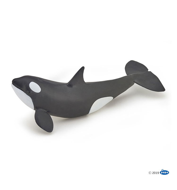 Papo killer whale calf figure &phi;&alpha;&lambda;&alpha;&iota;&nu;&alpha; &delta;&omicron;&lambda;&omicron;&phi;&omicron;&nu;&omicron;&sigmaf; &mu;&omega;&rho;&omicron;, , medium-null