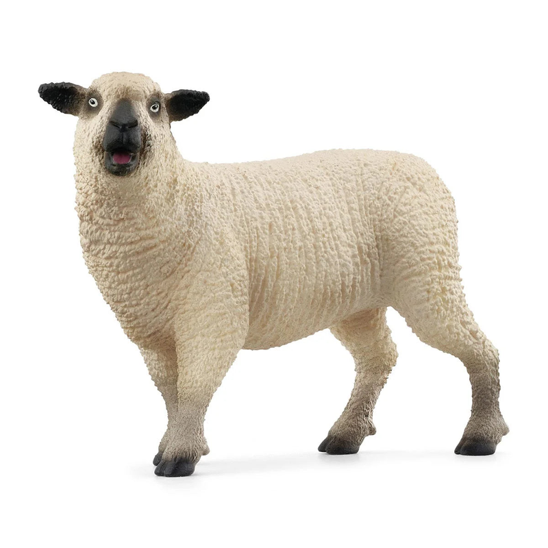 Product image: Schleich 42660 sheep friends figures-null