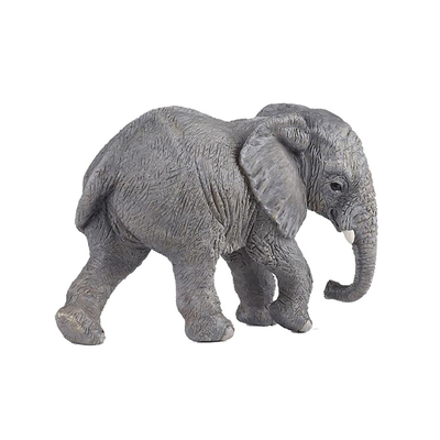 Young elephant, , medium