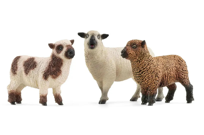 Product image: Schleich 42660 sheep friends figures-null