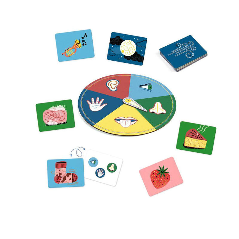 Product image: 5 senses loto game "djeco"-null