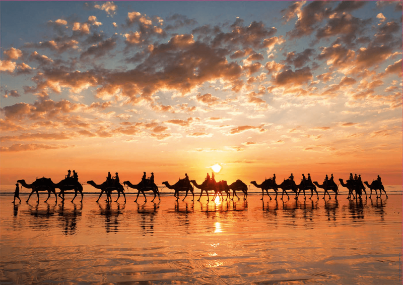 Golden sunset on cable beach, australia puzzle 1000pcs, , medium-null