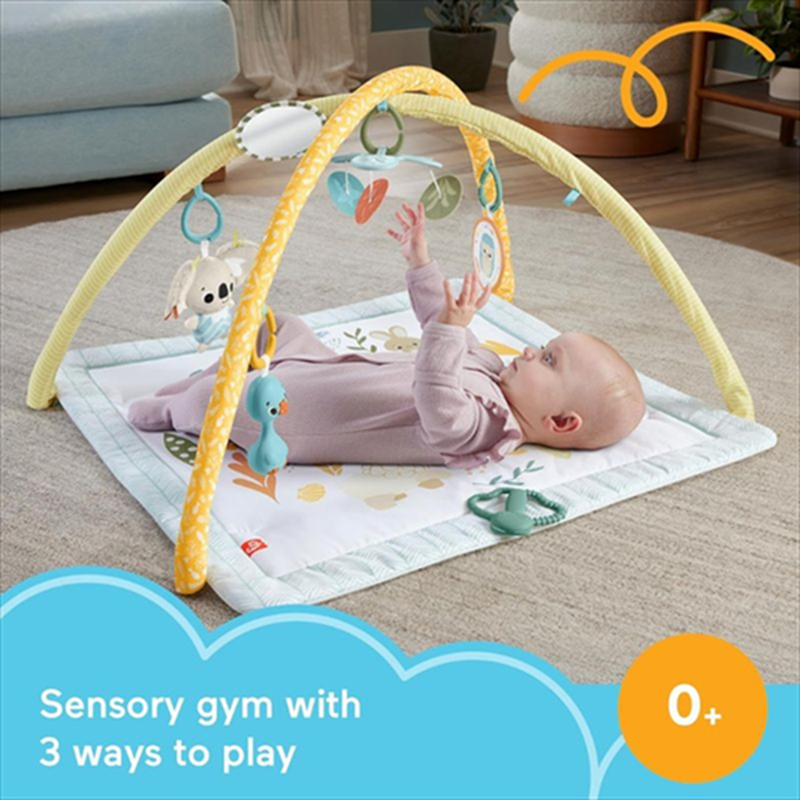 Fisher-price baby playmat simply senses newborn gym jmn74, , medium-null