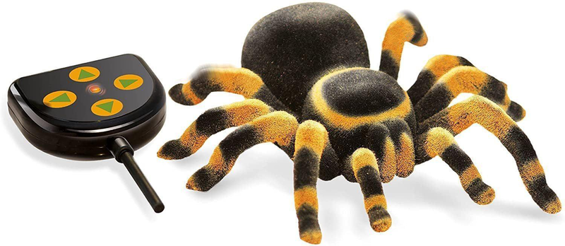 Product image: Buki france nature tarantula remote controlled, , medium-null
