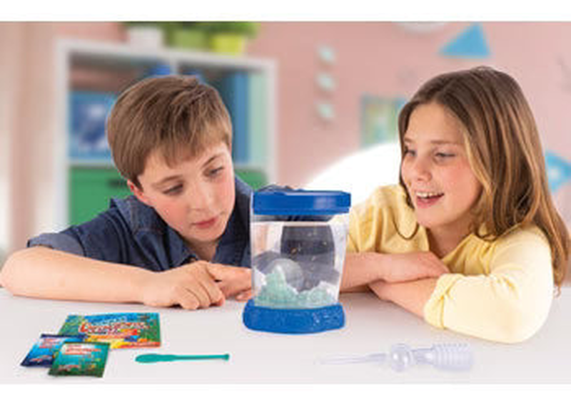 Aqua dragons - colour changing aquarium, , medium-null