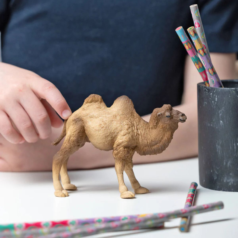 Papo &sigma;&upsilon;&lambda;&lambda;&epsilon;&kappa;&tau;&iota;&kappa;ή &chi;&epsilon;&iota;&rho;&omicron;&pi;&omicron;ί&eta;&tau;&eta; &phi;&iota;&gamma;&omicron;ύ&rho;&alpha; &beta;&alpha;&kappa;&tau;&rho;&iota;&alpha;&nu;ή&sigmaf; &kappa;&alpha;&mu;ή&lambda;&alpha;&sigmaf; 50129, 3+ &epsilon;&tau;ώ&nu;, , medium-null