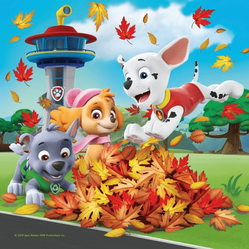 Paw patrol 3x49pcs, , medium-null