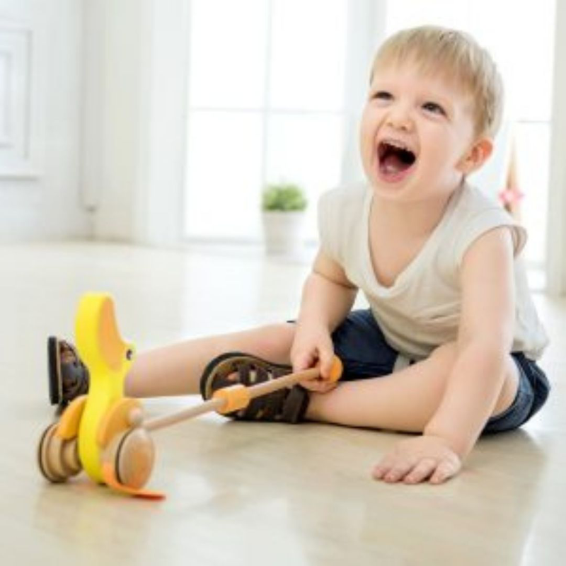 Product image: Push duck, , medium-null