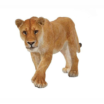 Lioness, , medium