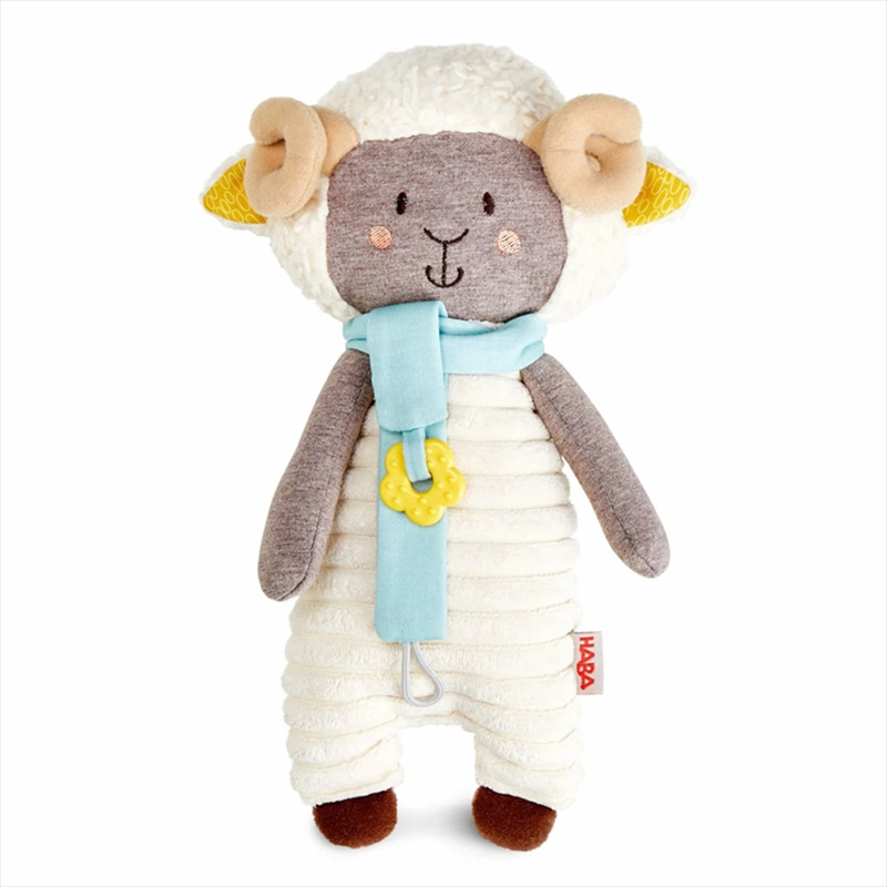 Yuki the sheep, , medium-null