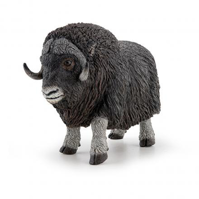 Papo muskox &mu;&omicron;&sigma;&chi;&omicron;&beta;&omicron;&upsilon;&sigmaf;, , medium-null