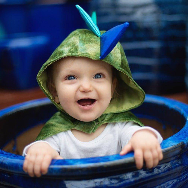 &Alpha;&kappa; &kappa;&alpha;&pi;&alpha; &delta;&rho;&alpha;&kappa;&omicron;&sigmaf; mat 1-2, , medium-null