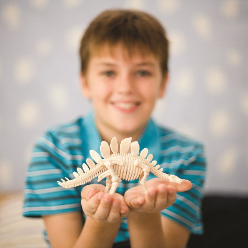 &Epsilon;&kappa;&pi;&alpha;&iota;&delta;&epsilon;&upsilon;&tau;&iota;&kappa;ό &sigma;&epsilon;&tau; &pi;&alpha;&lambda;&alpha;&iota;&omicron;&nu;&tau;&omicron;&lambda;&omicron;&gamma;ί&alpha;&sigmaf; &alpha;&nu;&alpha;&sigma;&kappa;&alpha;&phi;ή &sigma;&kappa;&epsilon;&lambda;&epsilon;&tau;&omicron;ύ &delta;&epsilon;&iota;&nu;&omicron;&sigma;&alpha;ύ&rho;&omicron;&upsilon; &beta;&epsilon;&lambda;&omicron;&sigma;&iota;&rho;ά&pi;&tau;&omicron;&rho;&alpha;&sigmaf; 8+ &epsilon;&tau;ώ&nu;, , medium-null