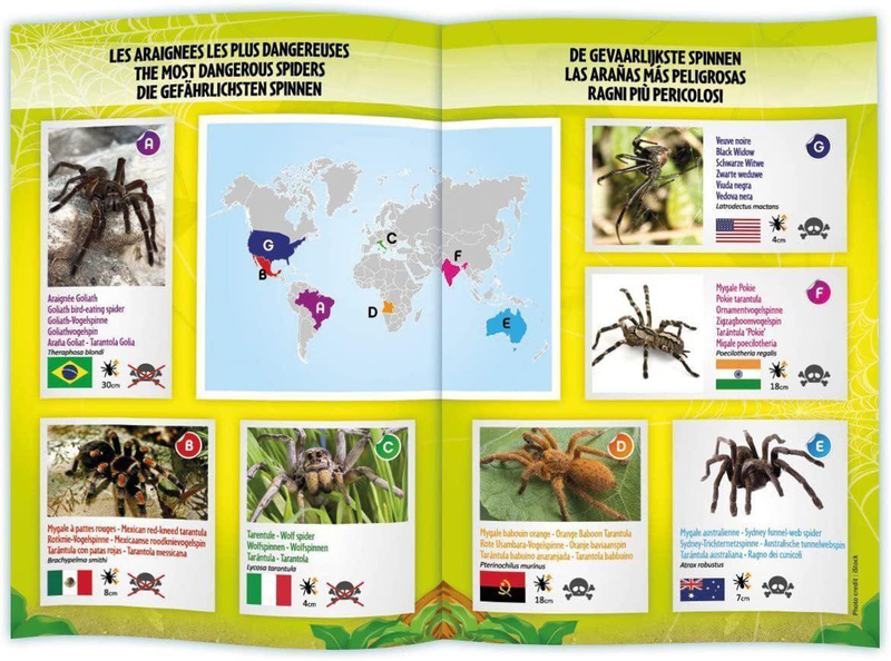 Product image: Buki france nature tarantula remote controlled, , medium-null