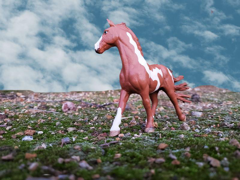 Schleich 13794 horse pinto stallion figure, , medium image number null