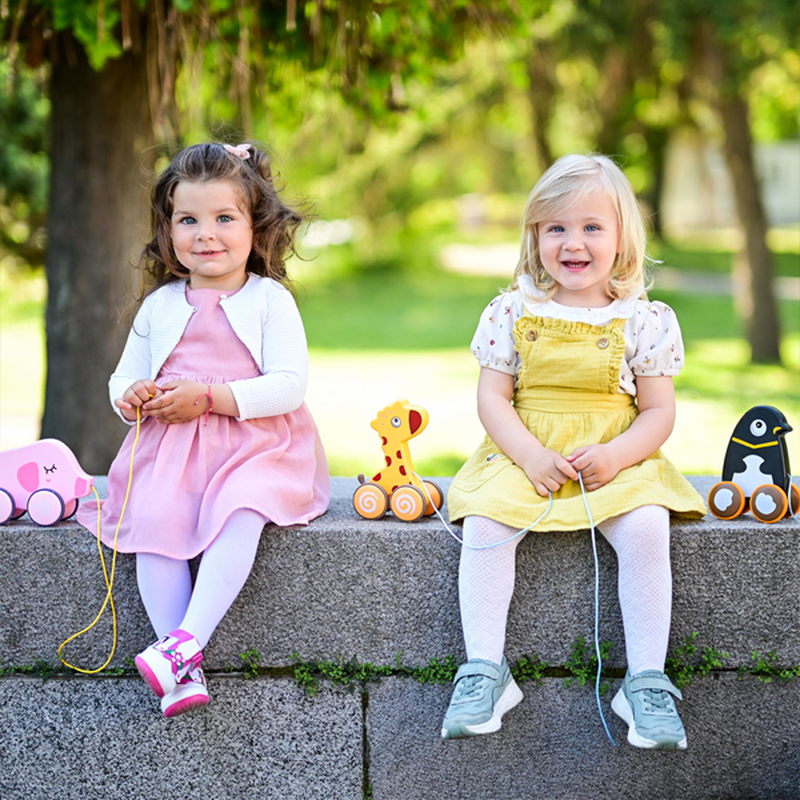 Product image: Lorelli συρόμενο ξύλινο παιχνίδι ελέφαντας 12m+, , medium-null