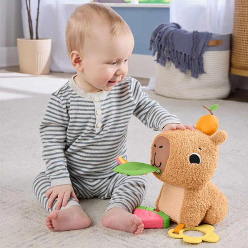 Fisher - price sensimals capybara hand activity  hyr54, , medium-null