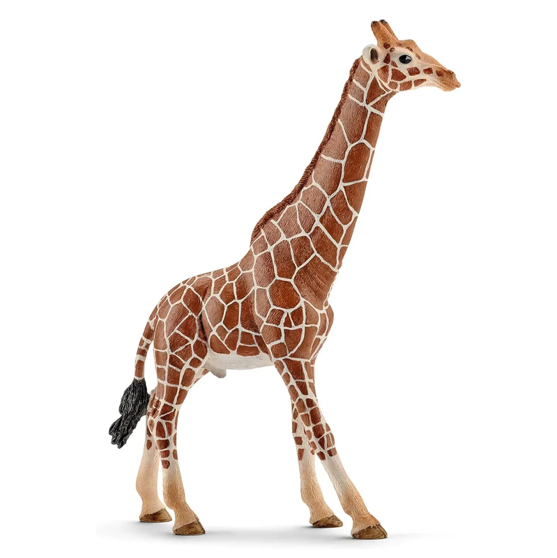 Schleich 14749 male giraffe figure, , medium-null