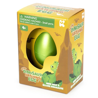 Mini dinosaur hatching eggs