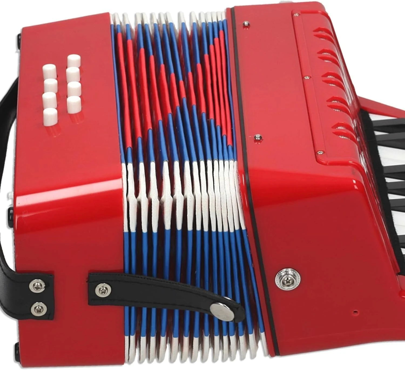 Reig accordion musical instrument, , medium image number null