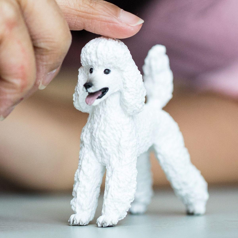 Product image: Schleich 13917 poodle dog figure-null