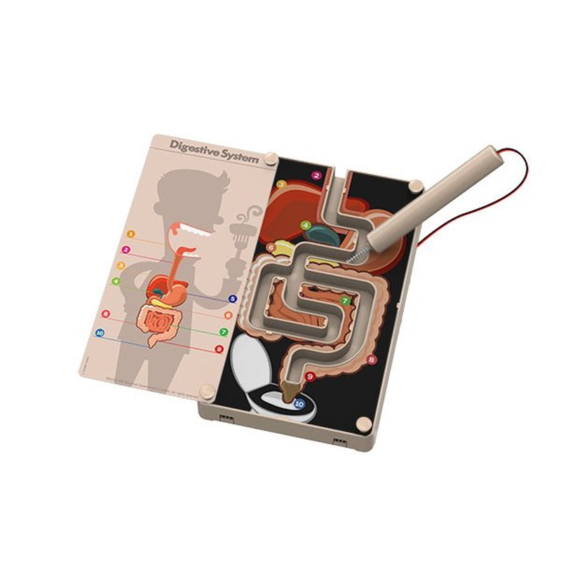 &Pi;&epsilon;&pi;&tau;&iota;&kappa;ό &sigma;ύ&sigma;&tau;&eta;&mu;&alpha; &mu;&epsilon; buzzer, , medium-null