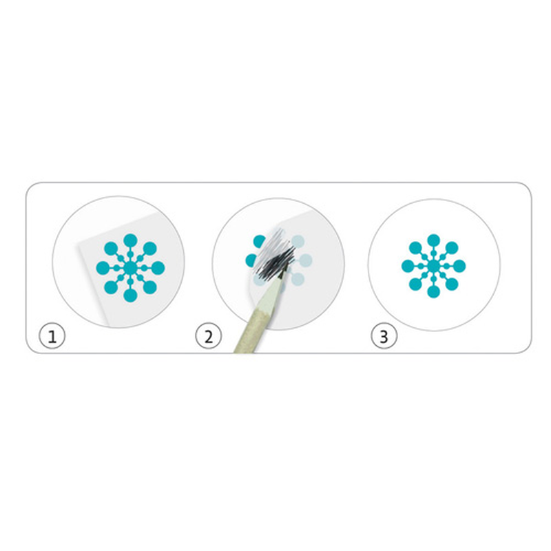 Product image: Djeco savannah, desert, and north pole: time for fun! Decals, , medium-null