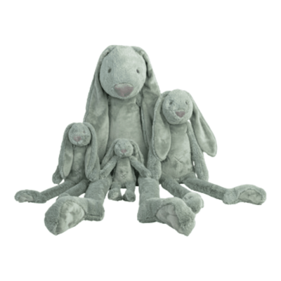 Hh- richie green rabbit, , medium