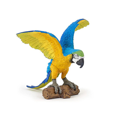 Ara parrot, , medium