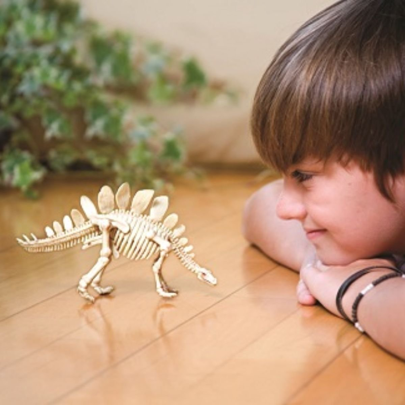 &Epsilon;&kappa;&pi;&alpha;&iota;&delta;&epsilon;&upsilon;&tau;&iota;&kappa;ό &sigma;&epsilon;&tau; &pi;&alpha;&lambda;&alpha;&iota;&omicron;&nu;&tau;&omicron;&lambda;&omicron;&gamma;ί&alpha;&sigmaf; &alpha;&nu;&alpha;&sigma;&kappa;&alpha;&phi;ή &sigma;&kappa;&epsilon;&lambda;&epsilon;&tau;&omicron;ύ &delta;&epsilon;&iota;&nu;&omicron;&sigma;&alpha;ύ&rho;&omicron;&upsilon; &sigma;&tau;&epsilon;&gamma;ό&sigma;&alpha;&upsilon;&rho;&omicron;&sigmaf; 8+ &epsilon;&tau;ώ&nu;, , medium-null