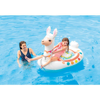Ride on cute lama