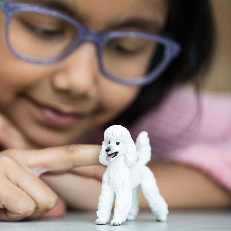 Product image: Schleich 13917 poodle dog figure-null