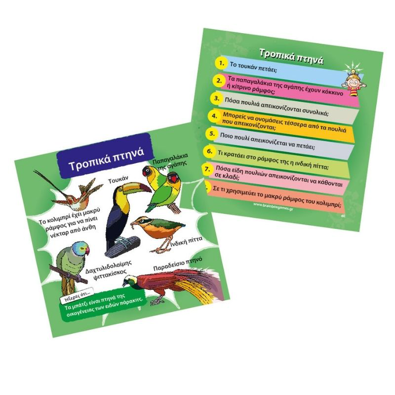 Product image: Brainbox φυση 93003, , medium-null