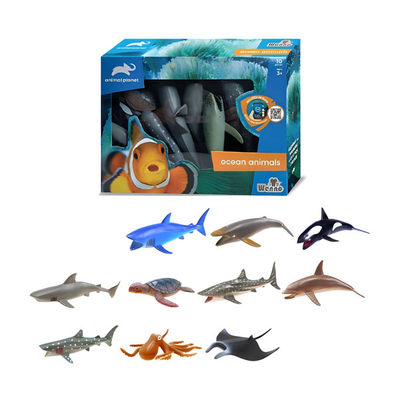 Wenno ocean animals with ar games, , medium
