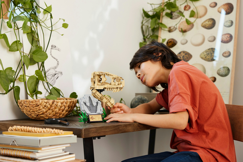 Lego jurassic world dinosaur fossils t. Rex skull 76964 for ages 9+ 577pcs, , medium-null