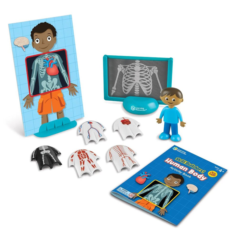 Skill builders human body, , medium-null